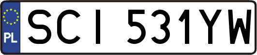 SCI531YW