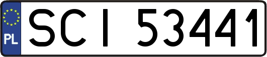 SCI53441