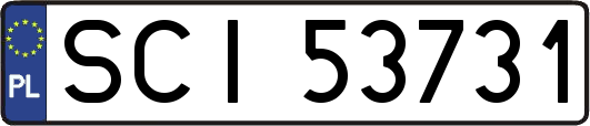 SCI53731