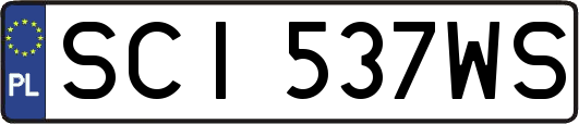 SCI537WS