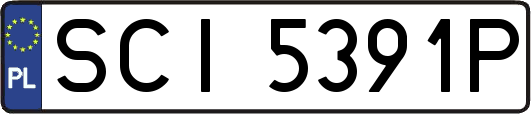 SCI5391P