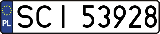 SCI53928
