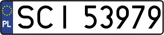 SCI53979