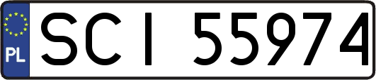 SCI55974
