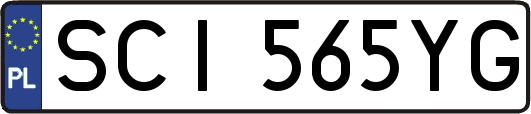 SCI565YG