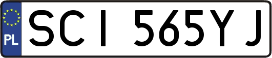 SCI565YJ