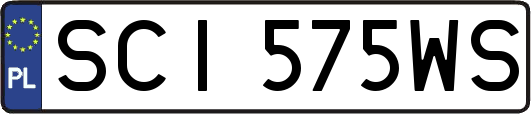 SCI575WS