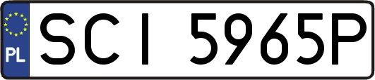 SCI5965P
