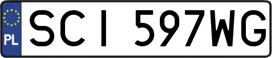 SCI597WG