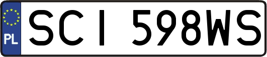 SCI598WS