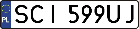 SCI599UJ
