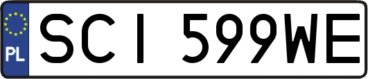 SCI599WE