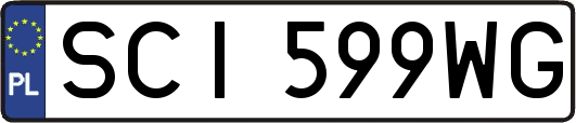 SCI599WG
