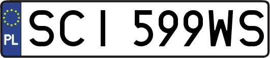 SCI599WS