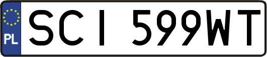 SCI599WT