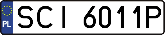 SCI6011P