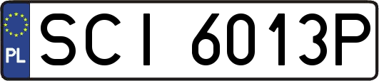 SCI6013P