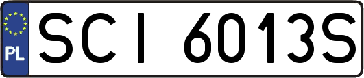 SCI6013S