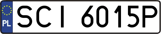 SCI6015P