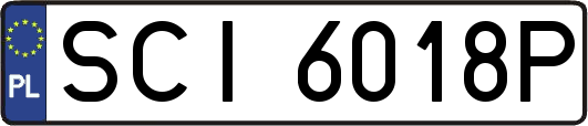 SCI6018P