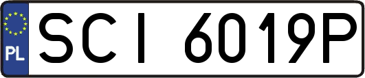 SCI6019P