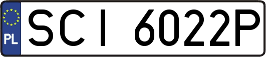 SCI6022P