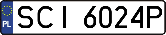 SCI6024P
