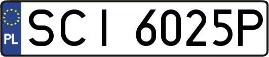 SCI6025P
