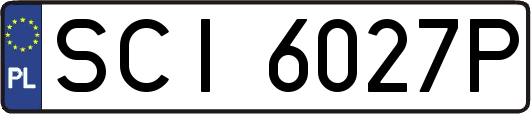 SCI6027P