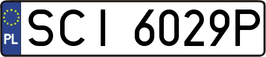 SCI6029P