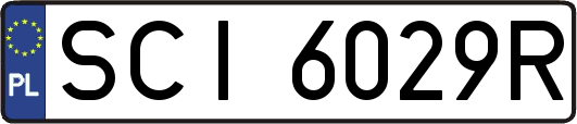 SCI6029R