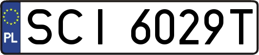 SCI6029T