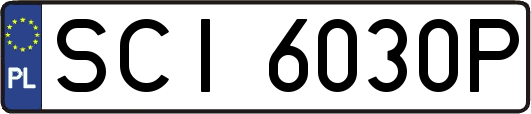SCI6030P
