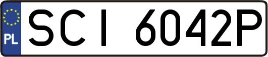 SCI6042P
