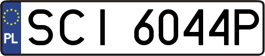 SCI6044P