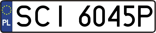 SCI6045P