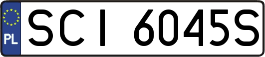SCI6045S