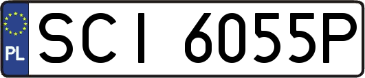 SCI6055P