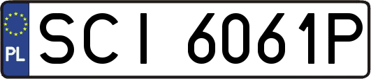 SCI6061P