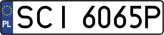 SCI6065P