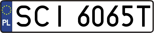 SCI6065T