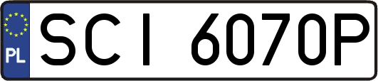 SCI6070P