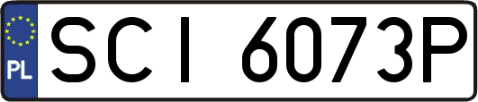SCI6073P