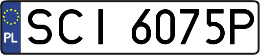 SCI6075P
