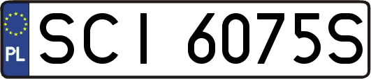 SCI6075S