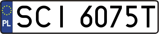 SCI6075T