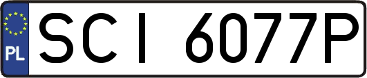 SCI6077P