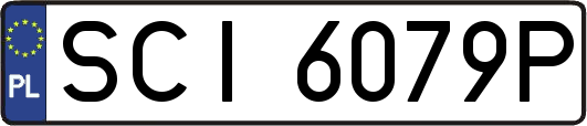SCI6079P