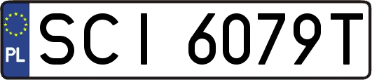 SCI6079T
