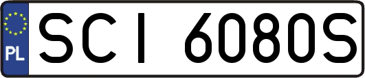 SCI6080S